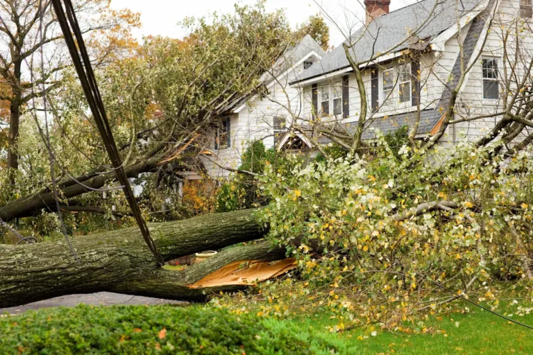 How Long Will It Take to Process My Property Damage Claim?