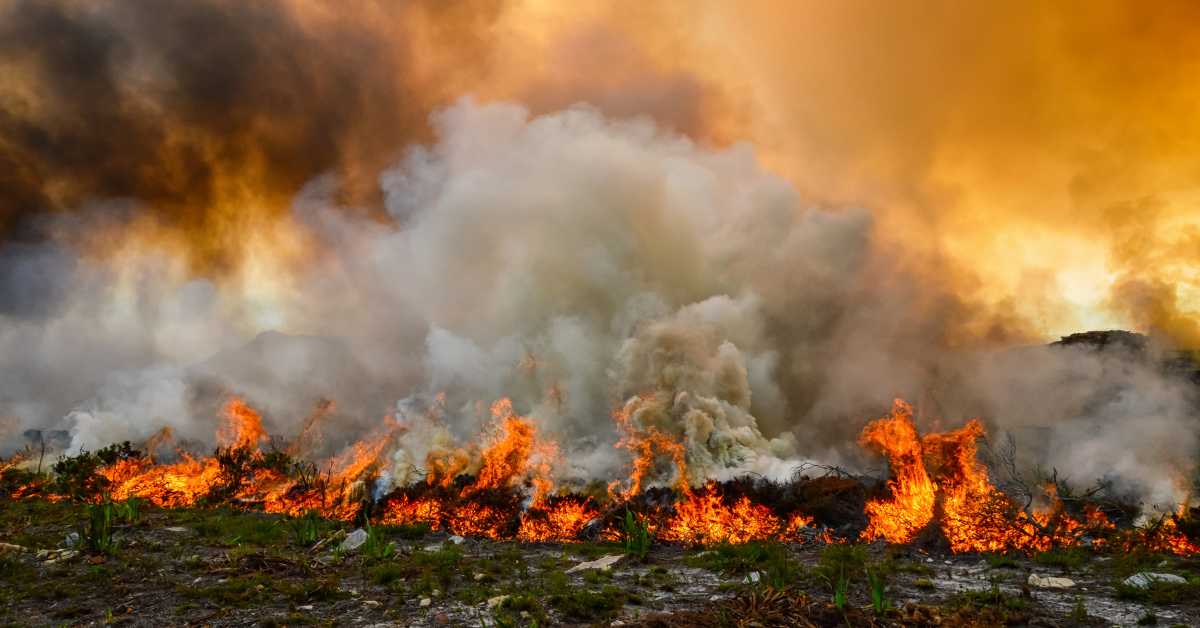 Texas Wildfire Season