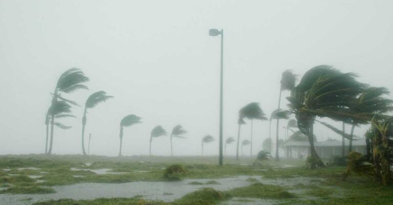 Protect Your Home from High Winds