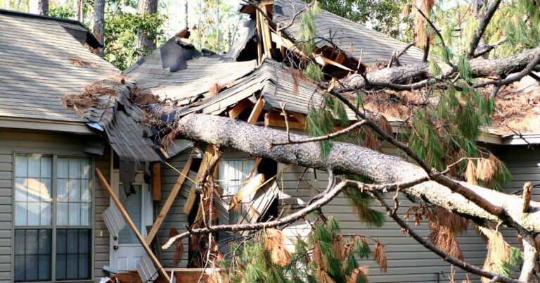 Hurricane Beryl claims