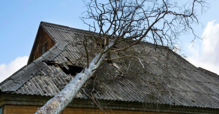 My Neighbor's Tree Damaged My Roof During a Storm